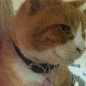 Meet your Posher, Derek